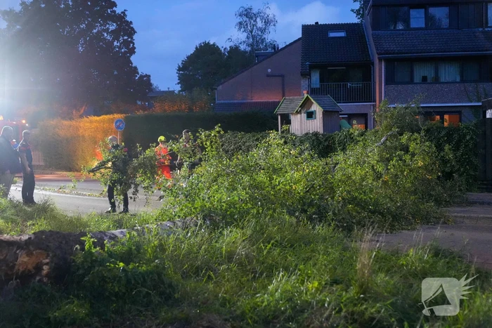 Boom blokkeert weg na zware wind