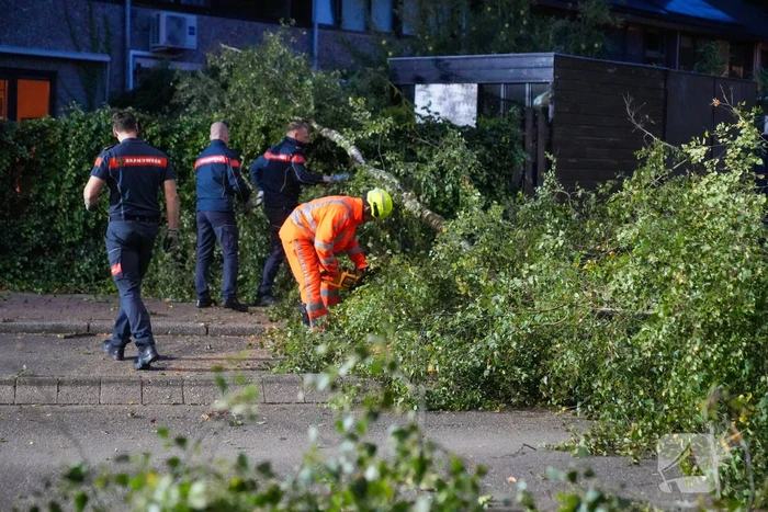 Boom blokkeert weg na zware wind