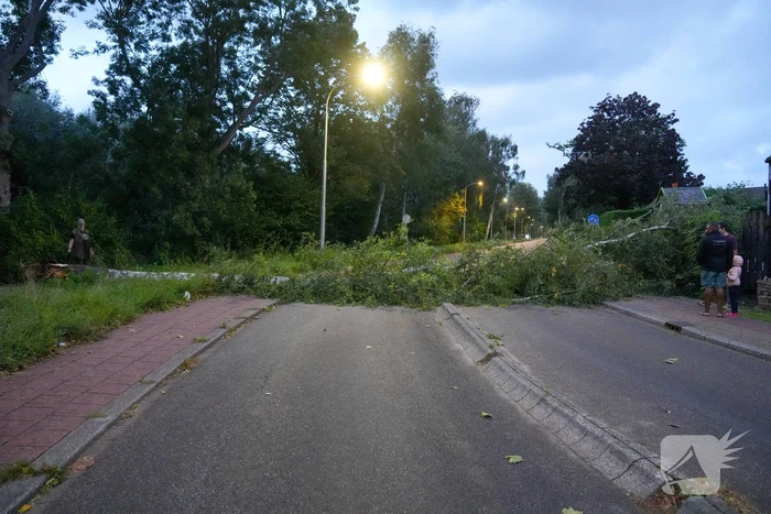 Boom blokkeert weg na zware wind