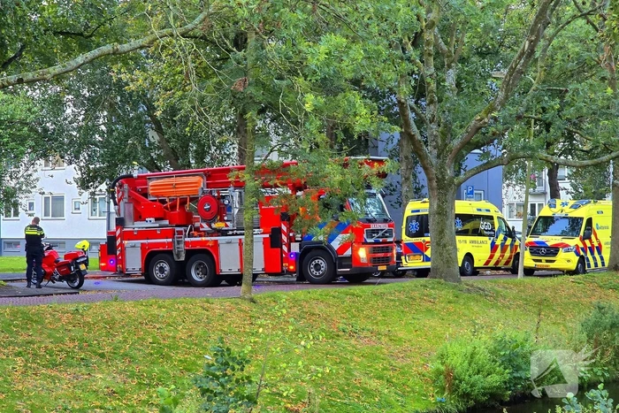 nieuws hengelolaan den haag
