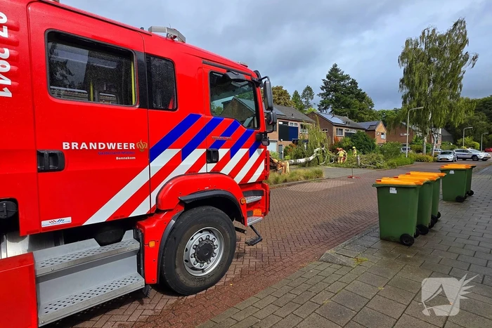 natuur midden-eng bennekom