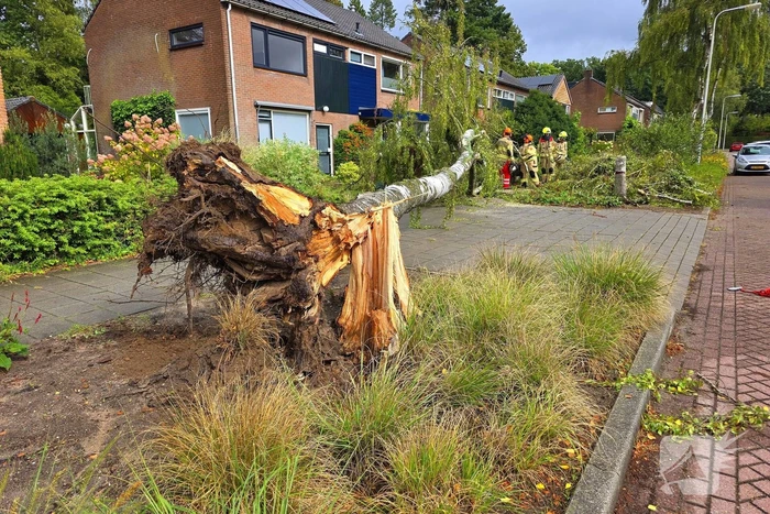 Boom valt om tijdens ingreep van brandweer