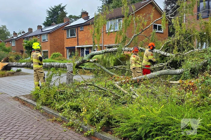 Boom valt om tijdens ingreep van brandweer