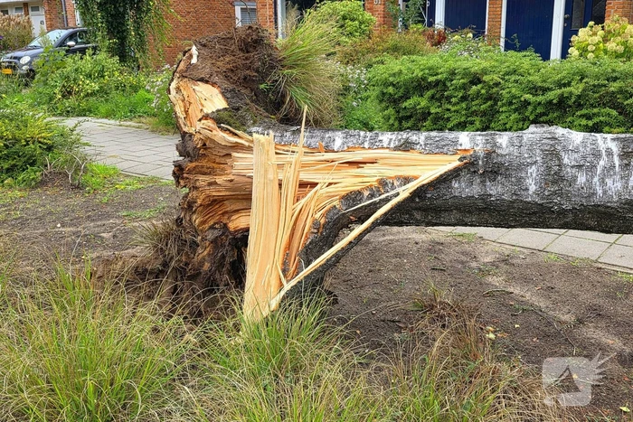 Boom valt om tijdens ingreep van brandweer