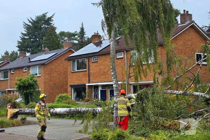 Boom valt om tijdens ingreep van brandweer