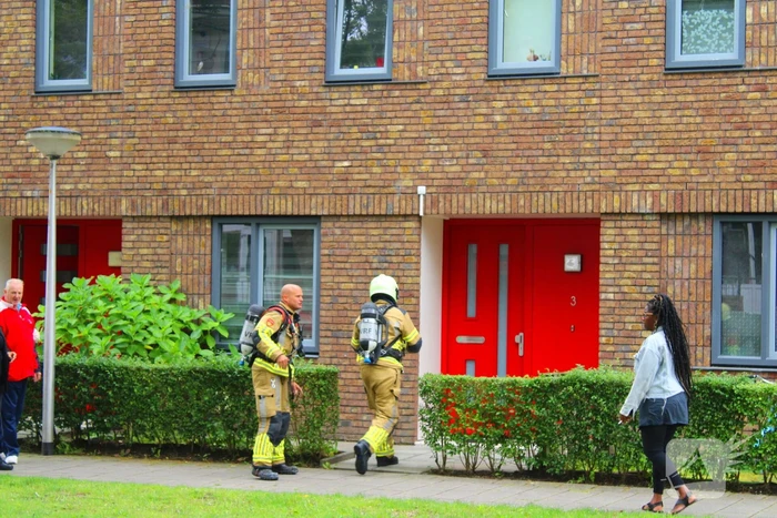 Rookontwikkeling door pan op het vuur