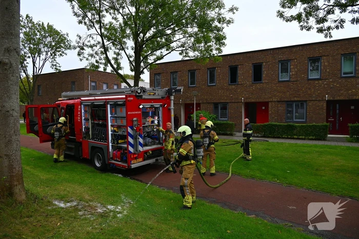 Rookontwikkeling door pan op het vuur