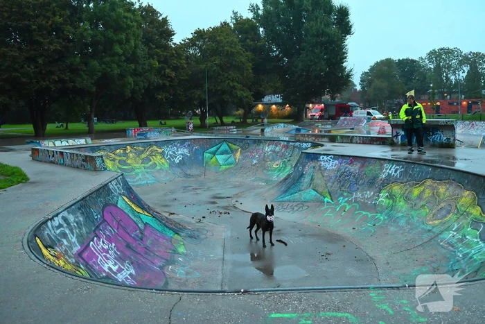 Hond vast in skateramp