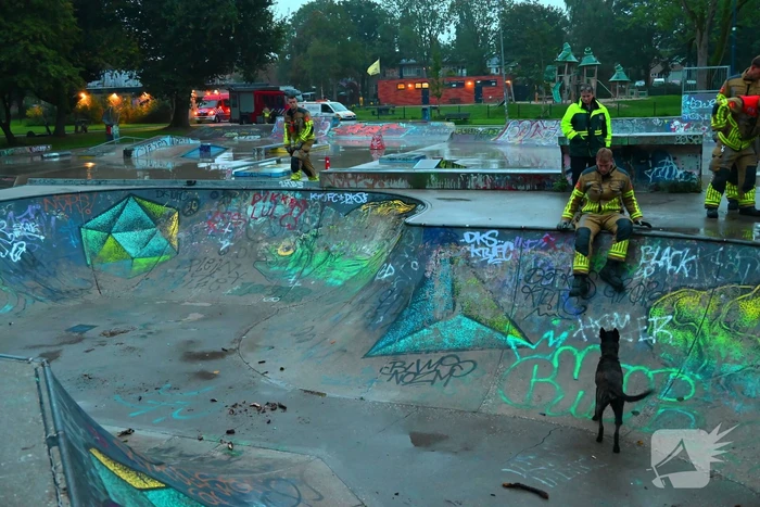 Hond vast in skateramp