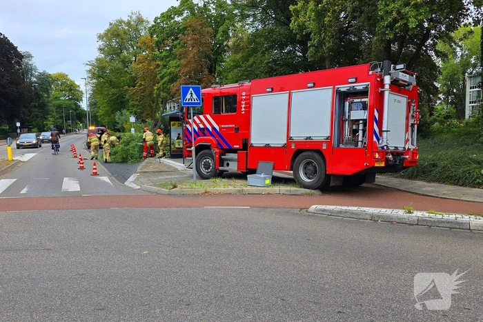 Omgevallen de boom mist fietser op haar na