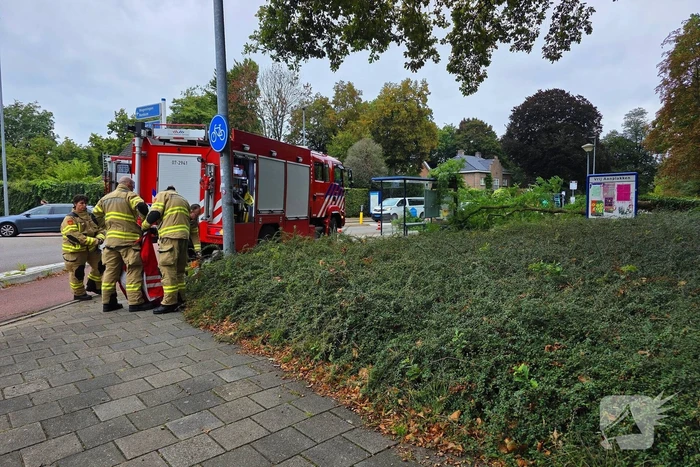 Omgevallen de boom mist fietser op haar na