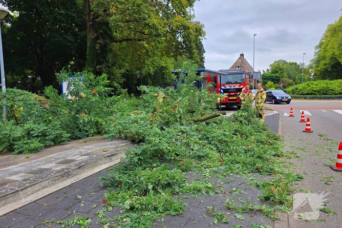 natuur vossenweg bennekom