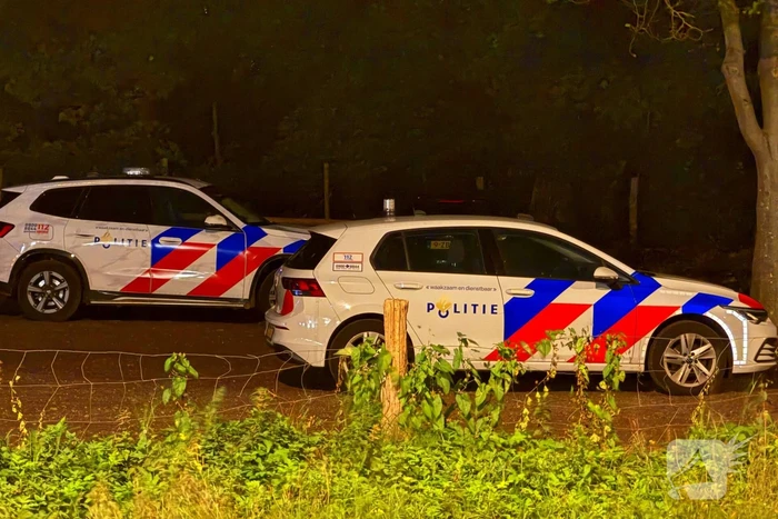 Grote zoekactie in bosgebied naar vermiste man