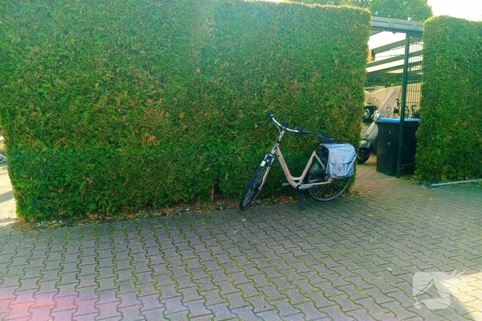 Fietser gewond na val partij