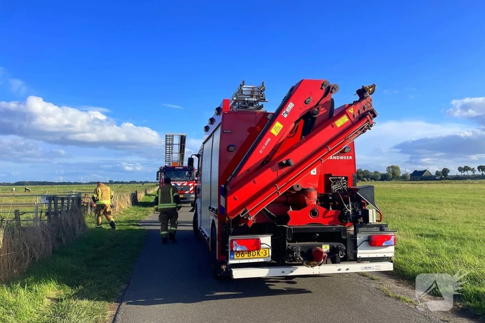 Brandweer takelt paard uit water