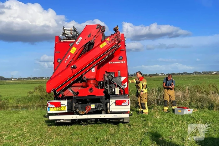 Brandweer takelt paard uit water