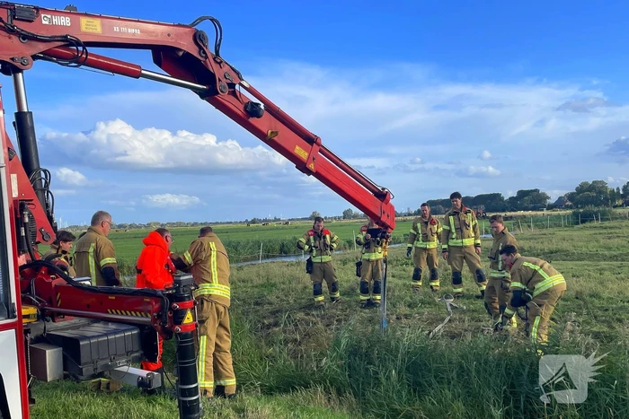 Brandweer takelt paard uit water