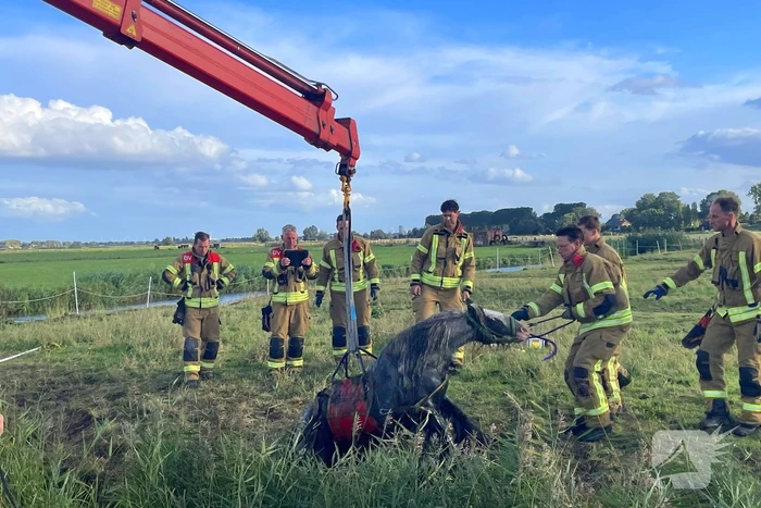 nieuws oudendijk strijen