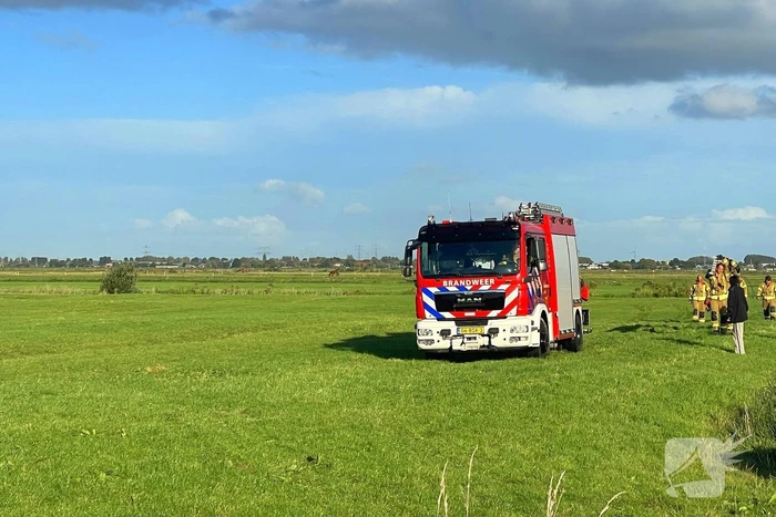 Brandweer takelt paard uit water