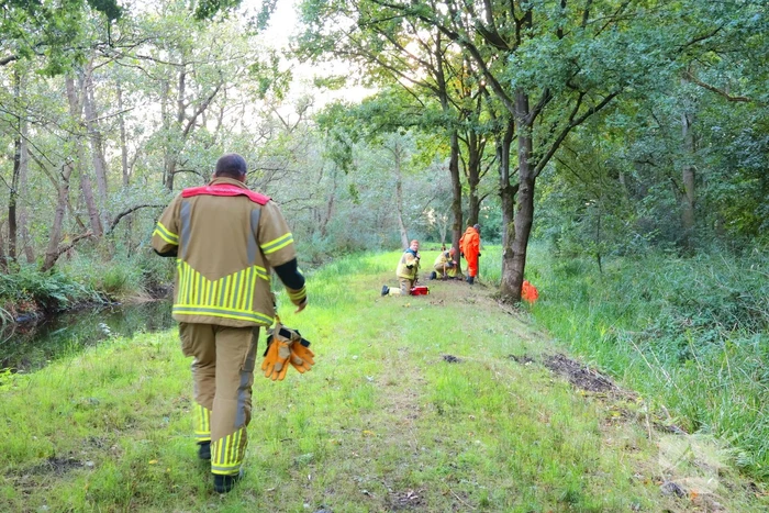 Oude vrouw gered uit sloot tijdens wandeling