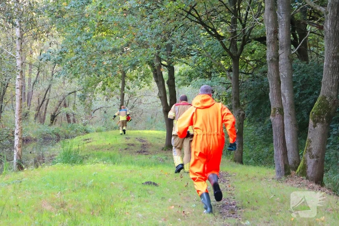 Oude vrouw gered uit sloot tijdens wandeling