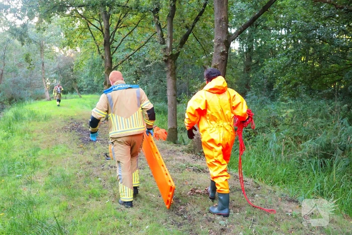 Oude vrouw gered uit sloot tijdens wandeling