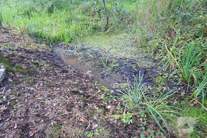 Oude vrouw gered uit sloot tijdens wandeling