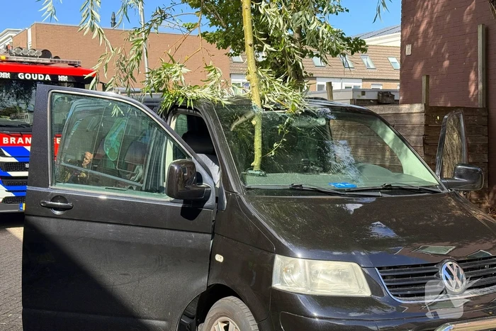 Boomtak doorboort vooruit bestelbus