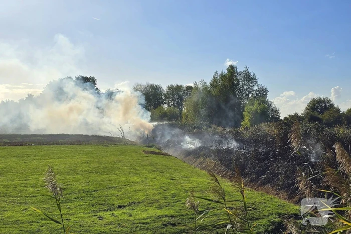 Brand in bramenstruiken zorgt voor hevige rookontwikkeling