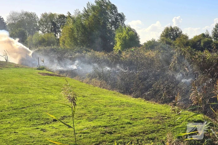 Brand in bramenstruiken zorgt voor hevige rookontwikkeling