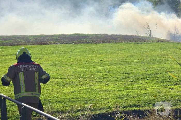 Brand in bramenstruiken zorgt voor hevige rookontwikkeling