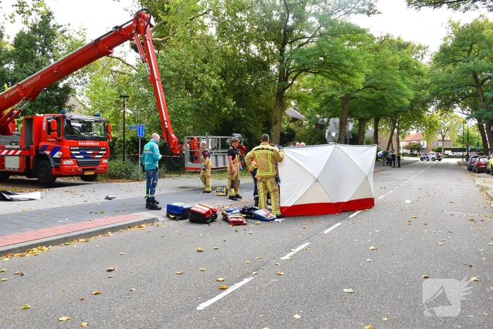 Man overlijdt na ongeluk tijdens boom snoeien