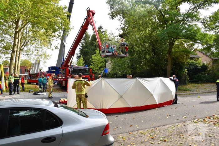 Man overlijdt na ongeluk tijdens boom snoeien