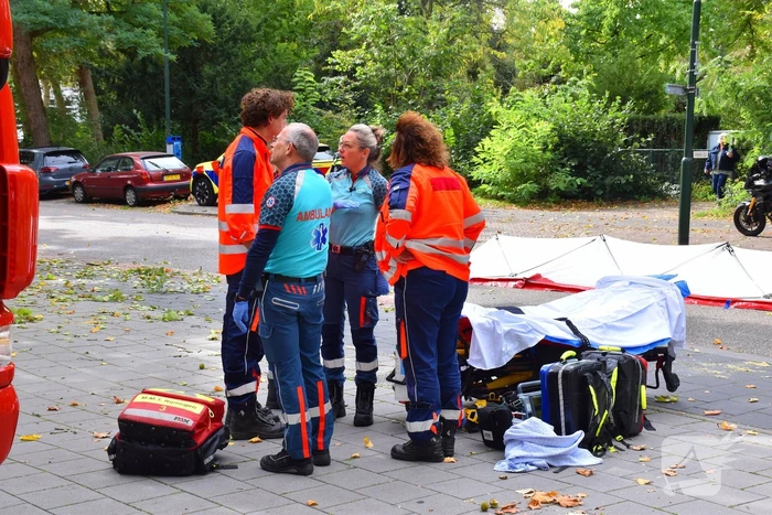 Man overlijdt na ongeluk tijdens boom snoeien
