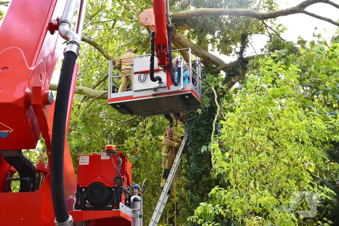 Man overlijdt na ongeluk tijdens boom snoeien