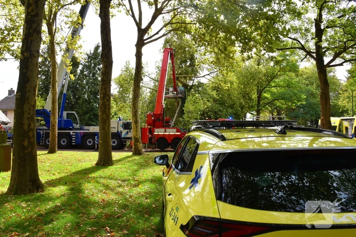 Man overlijdt na ongeluk tijdens boom snoeien