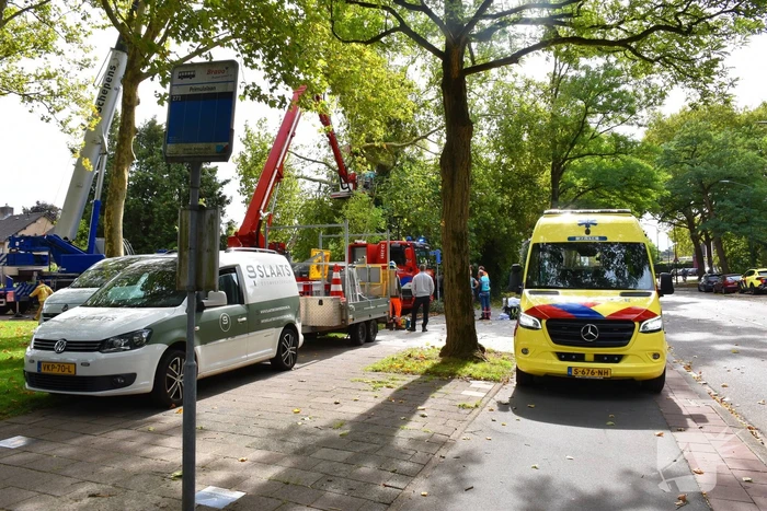 Man overlijdt na ongeluk tijdens boom snoeien
