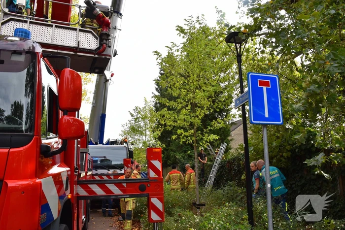 Man overlijdt na ongeluk tijdens boom snoeien