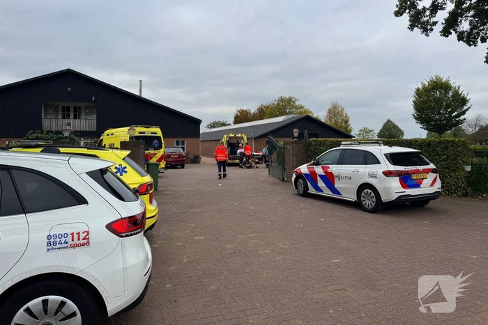 Vrouw zwaargewond na val van paard