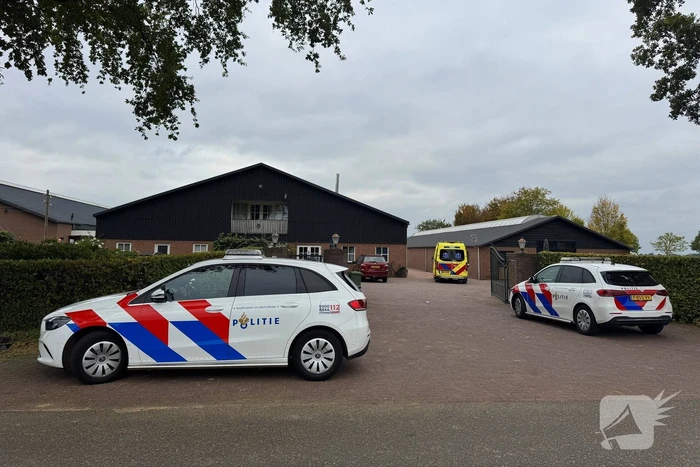 Vrouw zwaargewond na val van paard