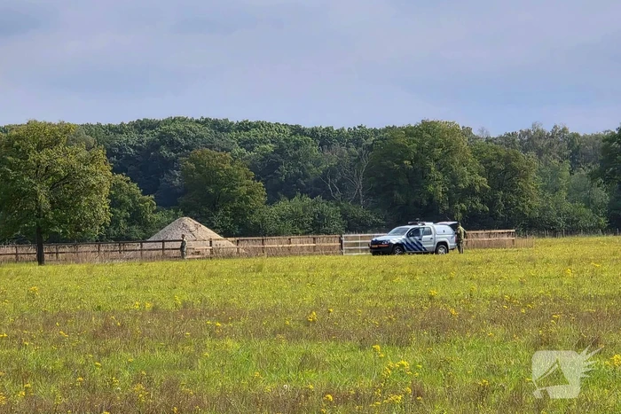 Explosief uit tweede wereldoorlog aangetroffen