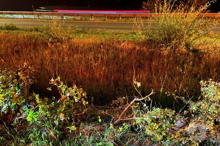 Bestuurder gewond na ongeval met auto