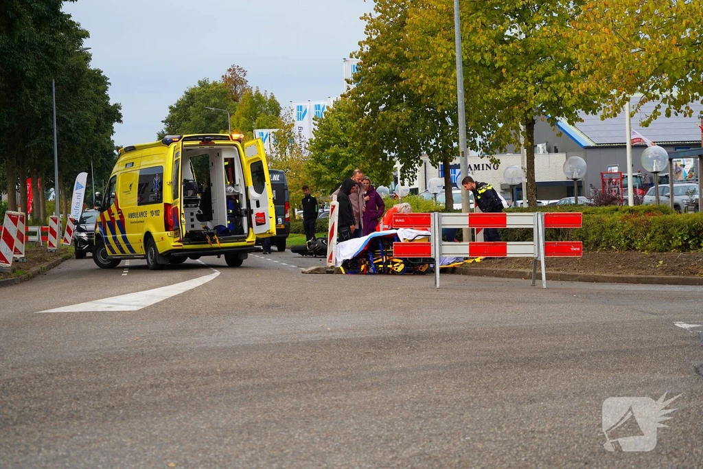 Zaadmarkt Nieuws Zwaagdijk-Oost 
