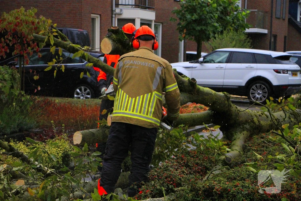 Mussenberg Nieuws Weert 
