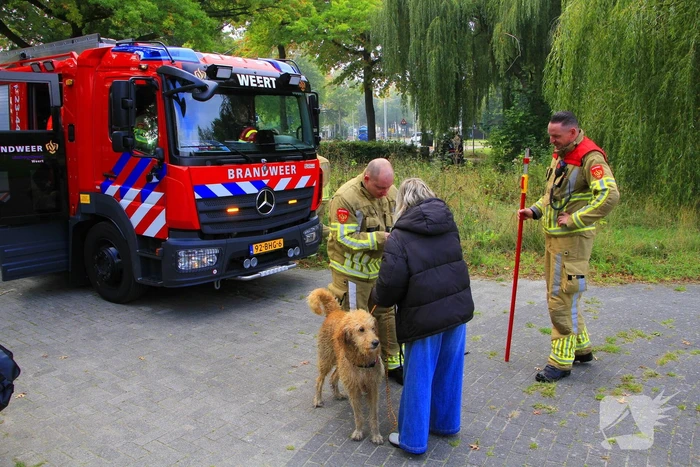 nieuws graafschap hornelaan weert