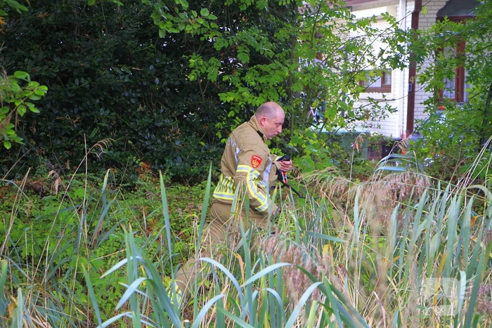 Hondje Rex gered uit water