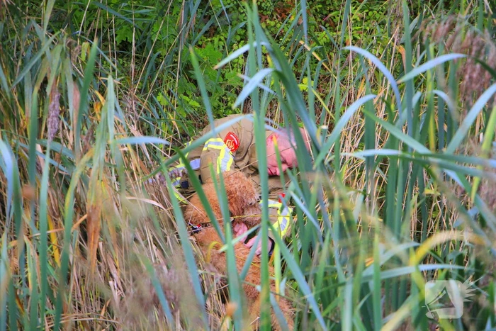 Hondje Rex gered uit water