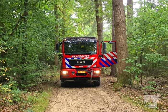 Brand in bosgebied snel geblust