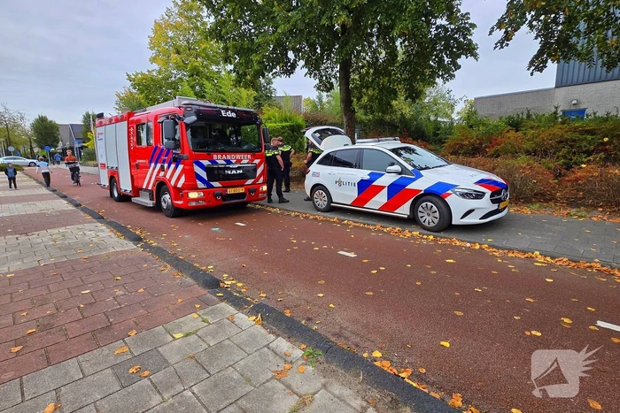 Brand in bijgebouw snel onder controle