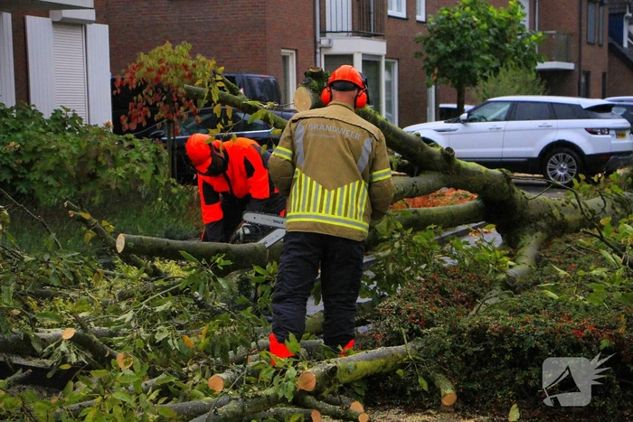 Storm veroorzaakt schade door omgevallen boom